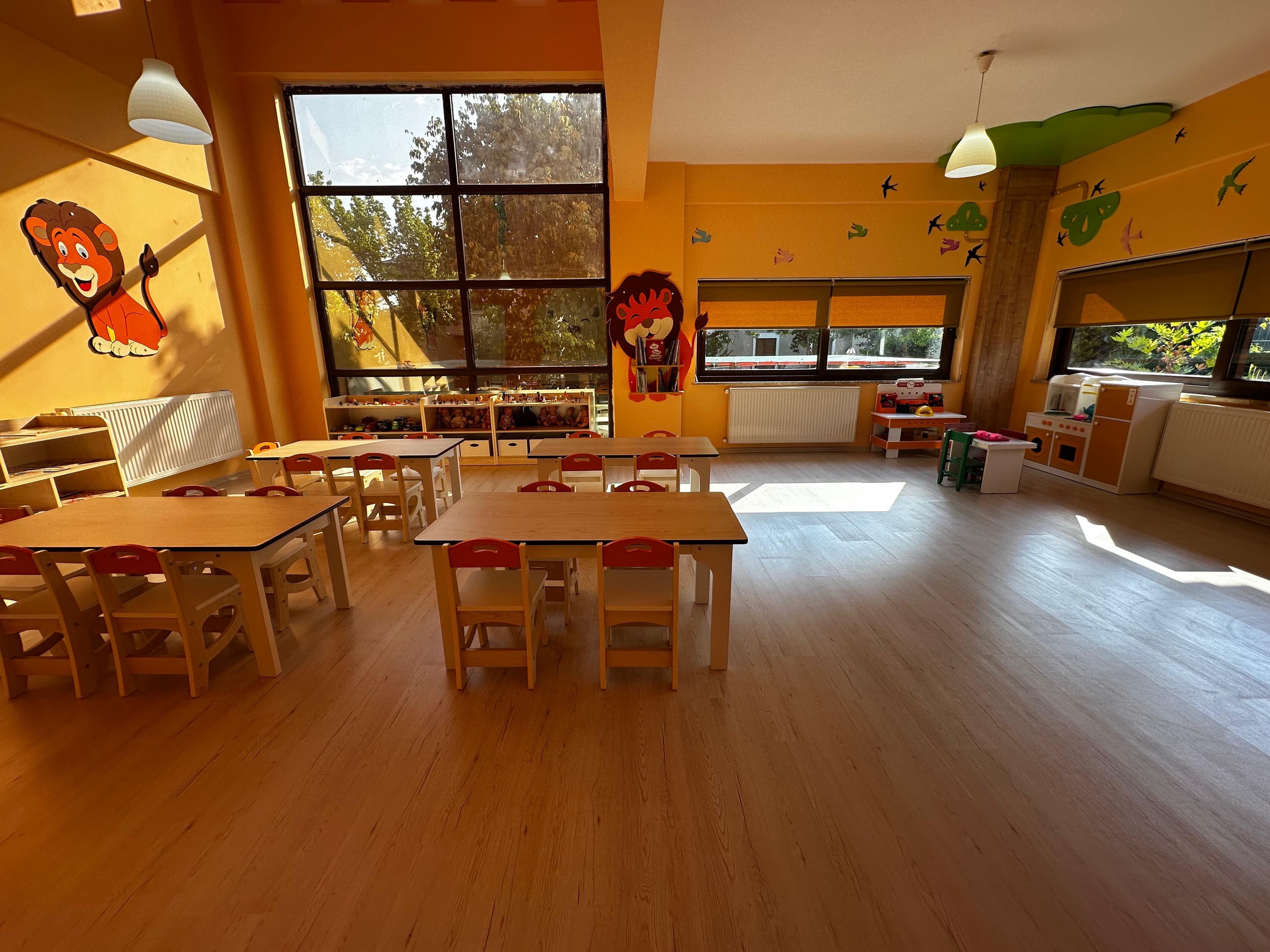Aslan temalı sınıfta masalar ve pencere önü rafları